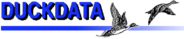 Duckdata logotype