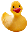 Rubber ducky - small